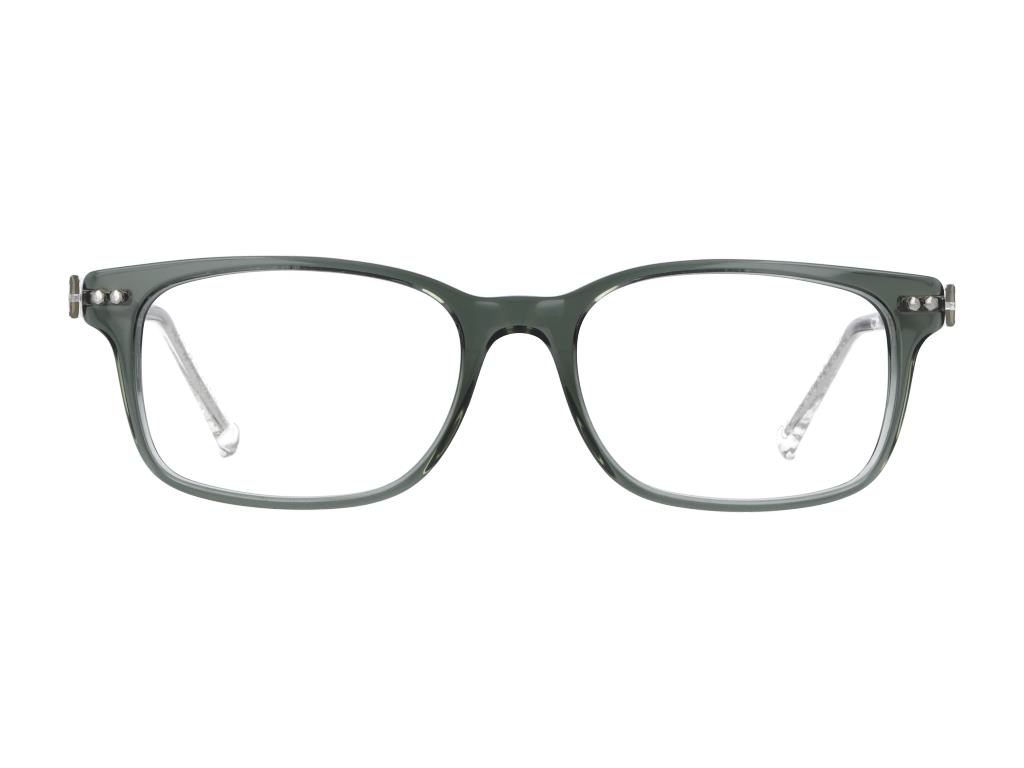 iGreen V-4.110